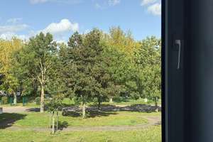 Familienfreundliches Reihenhaus im Anemonenweg – Anemonenweg 15, 39291 Möser – Vorschaubild 36