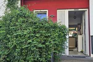 Hochw. saniert RMH;Dachloggia, Kamin, Garten, Doppelgarage, Keller ruhige Wohnlage, 340 qm; – Mainz-Bingen (Kreis) – Vorschaubild 12