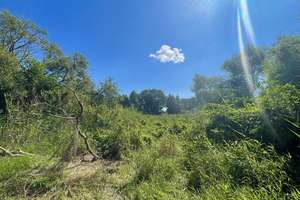 Property thumbnail 31