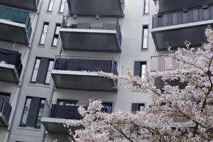 Property thumbnail 21