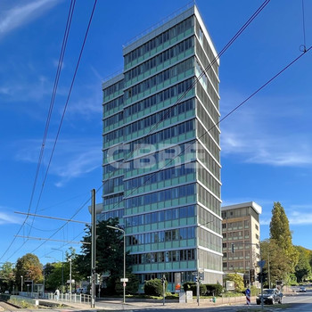 Seasons Office: Büroflächen mit Blick auf den Grafenberger Wald