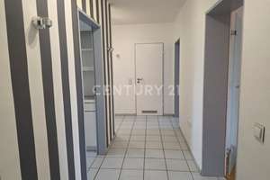 Property thumbnail 14