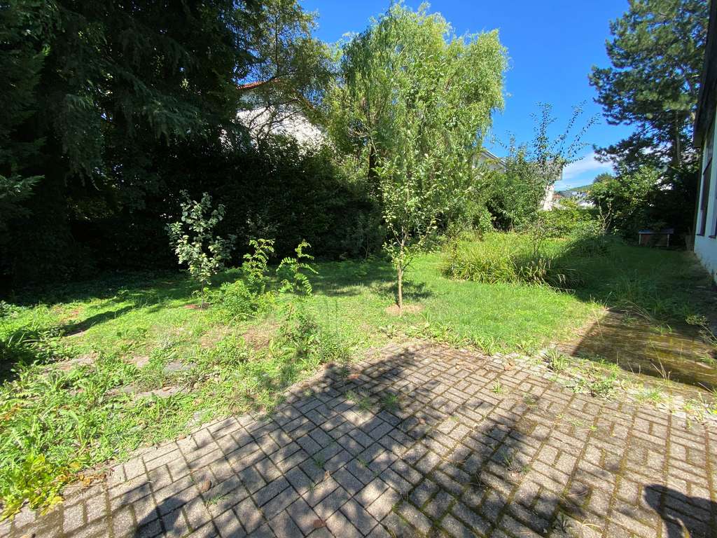 Immobilie in Sinzheim - Großzügiges EFH mit 14 Zimmern, gr. Garten und ELW in ruhiger Lage von Sinzheim - Bild 4