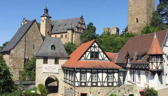 Bild von Mehrgenerationen Villa in bester stadtnaher Lage