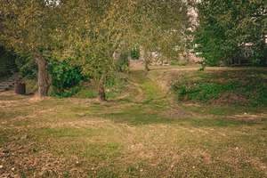 Gemütliches Wohnhaus mit traumhafter Gartenlandschaft – Die vollständige Adresse der Immobilie erhältst du vom Anbieter., 56290 Macken – Vorschaubild 2