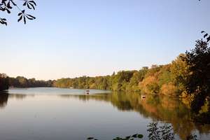 Property thumbnail 23