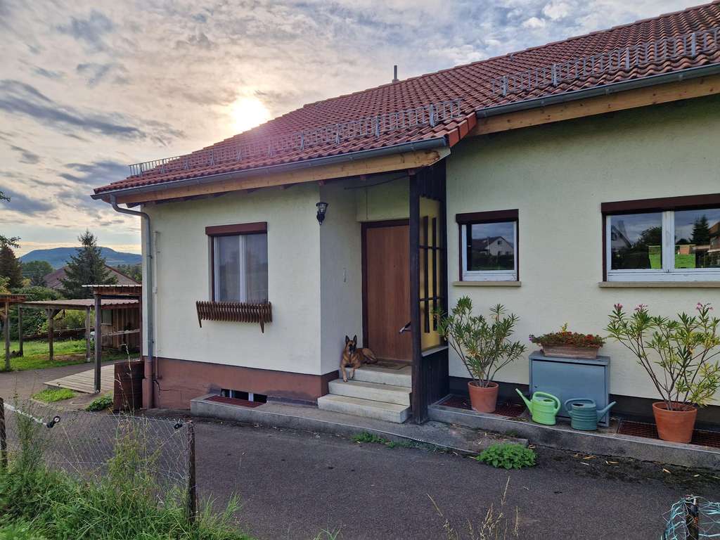 Immobilie in Ofterdingen - Pferdehalter aufgepaßt !!! Wohnhaus, Bauplatz und Offenstall zur Pferdehaltung am Haus, 19ar - Bild 2