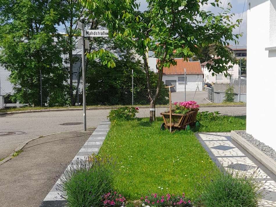 WhatsApp Image 2026-02-13 at 1