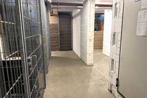 Provisionsfrei! Solide 3-Zimmer-Wohnung inkl. TG-Stellplatz in gepflegter Liegenschaft – Dybwadstraße 15, 4328 Sellerhausen-Stünz, Leipzig – Vorschaubild 8