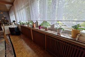 Möblierte Haus mit großer Nutzfläche/Terrasse ohne Nachbarn zu vermieten – Hundebrinkstraße 24, 45326 Altenessen-Süd, Essen – Vorschaubild 22