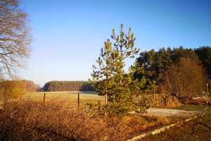 Stilvoll Leben umgeben von Wald, Feld und Wasser-ein einzigartiges Haus am Voßkanal – Oberhavel (Kreis) – Vorschaubild 14