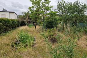 Doppelhaushälfte Birkenweiler – Birkenweiler 7. Gartenweg 7, 39128 Neustädter Feld, Magdeburg – Vorschaubild 7
