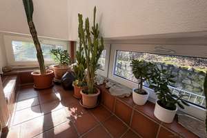 Großzügiges Familiendomizil mit Blick ins Grüne -  Ihr neues Zuhause in Bad Kreuznach-Süd  – Die vollständige Adresse der Immobilie erhältst du vom Anbieter., 55543 Bad Kreuznach – Vorschaubild 11