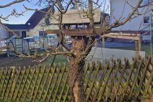 „Familienparadies  – Charmantes Wohnhaus in Bad Endbach OT“ – Nordring  17, 35080 Marburg-Biedenkopf (Kreis) – Vorschaubild 20