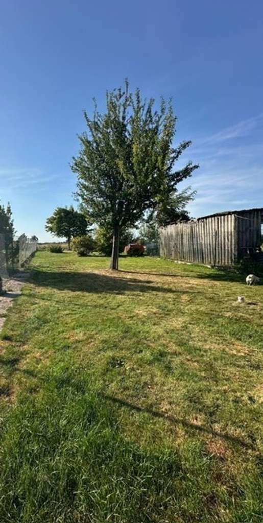 Immobilie in Langerwehe - Ihr neues Eigenheim auf großem Grundstück in Feldrandlage - Bild 4