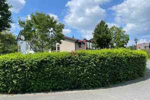 Property thumbnail 17