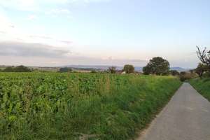 Property thumbnail 17