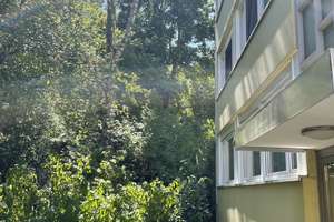 Gut aufgeteilte 4-Zi-Wohnung mit großem Balkon im grünen Ramersdorf-Perlach. Bad und WC neu. Frei ! – Die vollständige Adresse der Immobilie erhältst du vom Anbieter., 81735 Ramersdorf, München – Vorschaubild 18