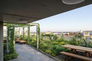 Ankommen, wohlfühlen, studieren: Exklusives Design-Apartment |möbliert|Fahrstuhl |Unilage|Dachgarten – Hansastraße 22, 39106 Alte Neustadt, Magdeburg – Vorschaubild 9