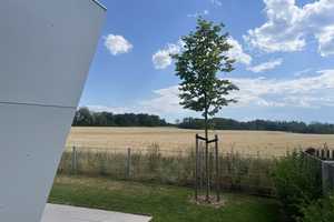 Zum neuen Schuljahr umziehen - Frei stehendes Neubau Einfamilienhaus mit Tiefgarage – München – Vorschaubild 8