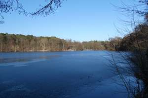 Property thumbnail 25