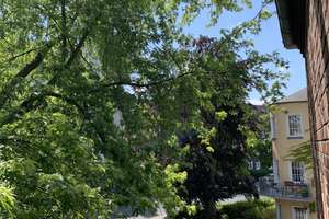 +++ GEMÜTLICHE 1- ZIMMER WOHNUNG IM BELIEBTEN BISMARCKVIERTEL +++ – Lessingstr. 44, 47799 Cracau, Krefeld – Vorschaubild 9