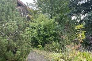 Eintreten und wohlfühlen, hübsches Einfamilienhaus mit zauberhaften Garten! – Buchenstraße 14, 6198 Bennstedt – Vorschaubild 49