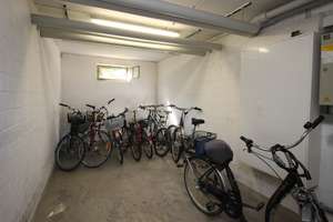 **4-Zimmer-Wohnung in ruhiger Lage zu vermieten** – 67069 Pfingstweide, Ludwigshafen am Rhein – Vorschaubild 17