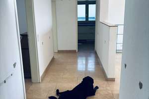 Penthouse Apartment mit großer Dachterrasse in Stuttgart Degerloch – Julius-Hölder-Straße 45, 70597 Tränke, Stuttgart – Vorschaubild 8