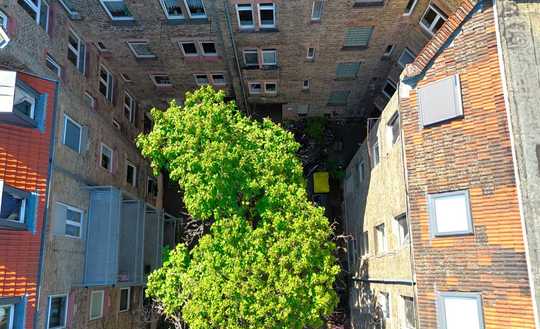 Hier fühlen sich Ihre Mieter wohl - gut vermietete Kapitalanlage im historischen Denkmal