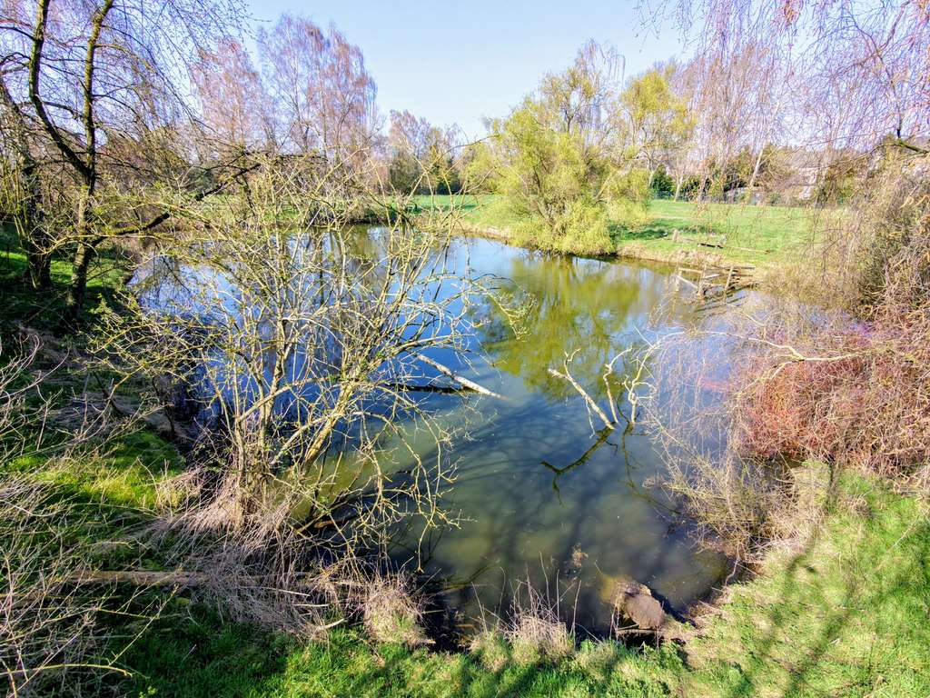 Immobilie in Kalkar - Tolle Erdgeschosswohnung mit Garten und Garage, schön gelegen am Naturteich - Bild 1