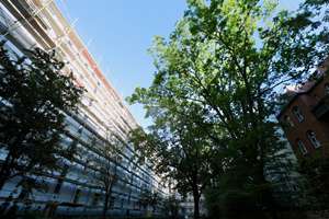 INVESTITION IN DIE ZUKUNFT - GEPFLEGTE & RUHIGE WOHNUNG - MIT SONNIGER LOGGIA & BLICK INS GRÜNE – Heinz-Bartsch-Str. 2 tt, 10407 Prenzlauer Berg, Berlin – Vorschaubild 7
