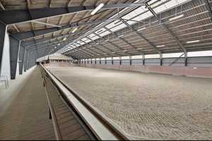Traumhafte Reitanlage in Dänemark – Ein Paradies für Pferdeliebhaber! – Schleswig-Flensburg (Kreis) – Vorschaubild 11