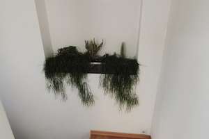 Property thumbnail 50