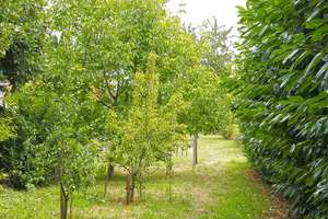 Charmantes, vollständig renoviertes Endreihenhaus mit großem Garten in NE-Holzheim, von Eigentümer – Bahnhofstraße 23, 41472 Holzheim, Neuss – Vorschaubild 2