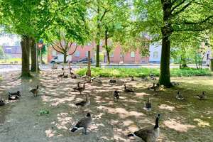 Wohnen, wo andere spazieren gehen! Frisch renoviertes Raumwunder mit Stadtwald-Blick & Gartenmitnutz – Dahlener Straße 613, 41239 Hockstein, Mönchengladbach – Vorschaubild 11