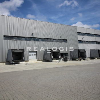 Ca. 5.000 qm Lager | 11x Rampe | ca. 12,50 m UKB !