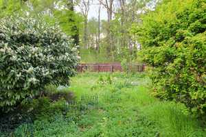 In Waldrandlage und doch mitten in Wolfsburg! Einfamilienhaus mit idyllischem Garten. – Wolfsburg – Vorschaubild 16