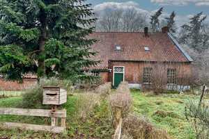 Auf über 4,5 ha Grundstück! Denkmalgeschützter Gulfhof in Randlage! – Leer (Kreis) – Vorschaubild 3