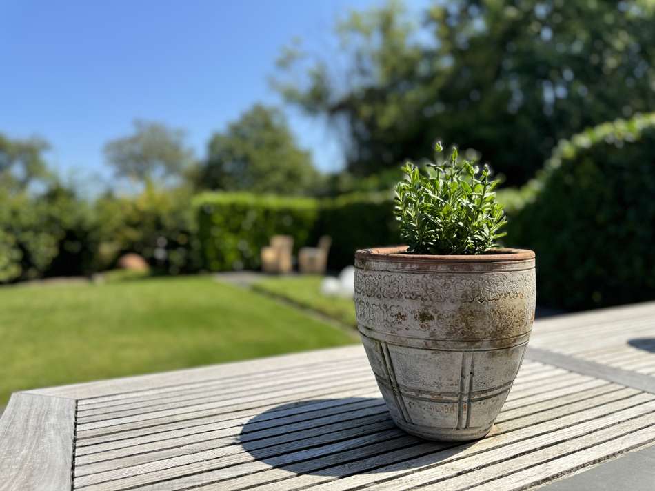 Gartenimpressionen