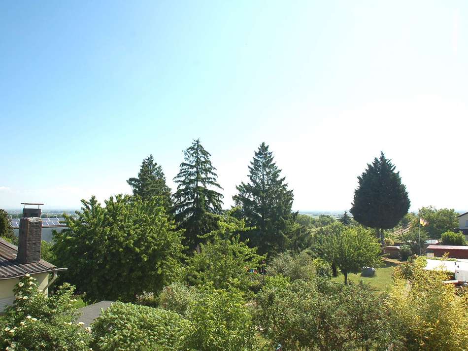 Weitblick