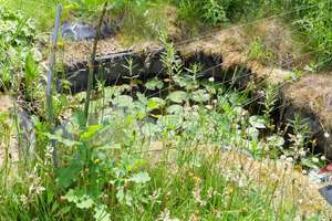 Property thumbnail 23