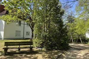 Attraktive Kapitalanlage nahe Schlosspark & Brosepark – Die vollständige Adresse der Immobilie erhältst du vom Anbieter., 13156 Niederschönhausen, Berlin – Vorschaubild 8