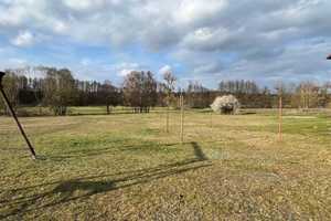 Landleben mit Weitblick – Wohnhaus mit Pferdestall, mehreren Einheiten und optionalem Land in Pen... – Oberhavel (Kreis) – Vorschaubild 2