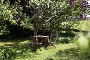 Großzügiges Wohlfühl-Haus mit wunderschönem Gartenidyll in Probstried – Oberallgäu (Kreis) – Vorschaubild 54