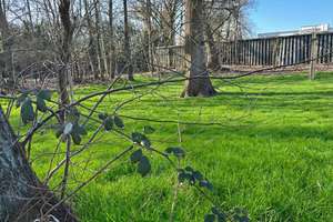 Property thumbnail 16