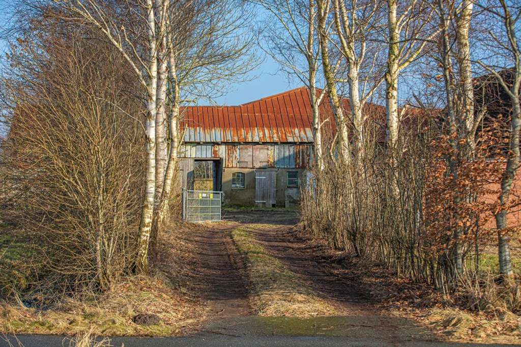 Immobilie in Tetenhusen - Resthof in Alleinlage zwischen Rendsburg und Schleswig - Bild 3