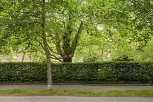 Lorettoviertel in Unterbilk: Möbliertes Appartement im EG. Mit Außenstellplatz im Innenhof. – Edith-Fürst-Straße 40, 40219 Unterbilk, Düsseldorf – Vorschaubild 22