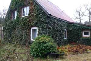 Einfamilienhaus oder Ferienhaus in der Nemitzer Heide – Lüchow-Dannenberg (Kreis) – Vorschaubild 9