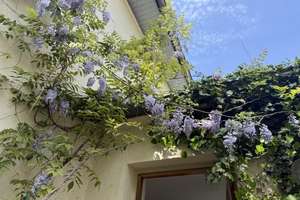 Property thumbnail 22